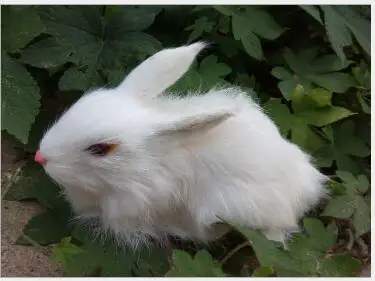 

WYZHY New Year Creative Gifts Simulation Fur Animal Simulation Rex Rabbit Friends Children Gifts 11CM X19CM