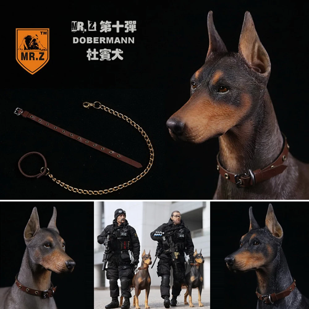 1/6 Коллекционная Фигурка солдата сцены аксессуары Mr.Z реальное животное 10th DB001 DB003