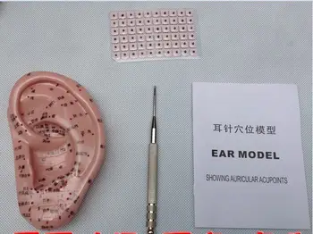 

Free shipping chinese medical therapy acupuncture relieving point pen model ear seed stickers 600pcs auricular acupoint