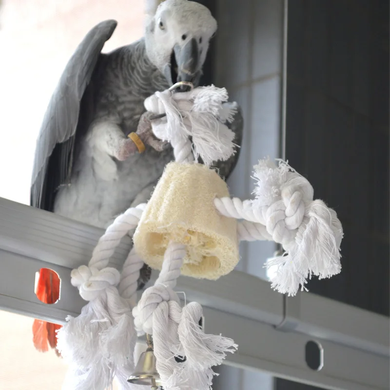 Pet's Club 2015 new arrival Chew toy parrot macaw parrot gray cockatiels natural handmade toys