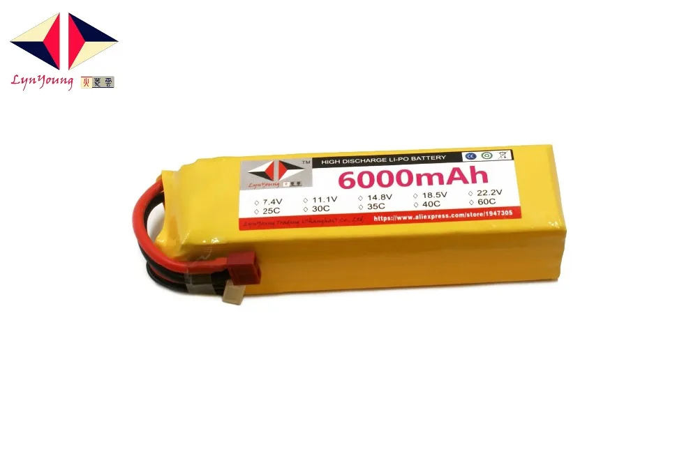 0DSC004848
