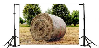 

Photography Backdrop Dry Rural Field with Hay Stacks Nature Harvest Landscape