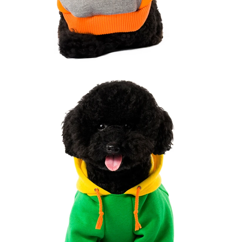 10 brand dog clothes 