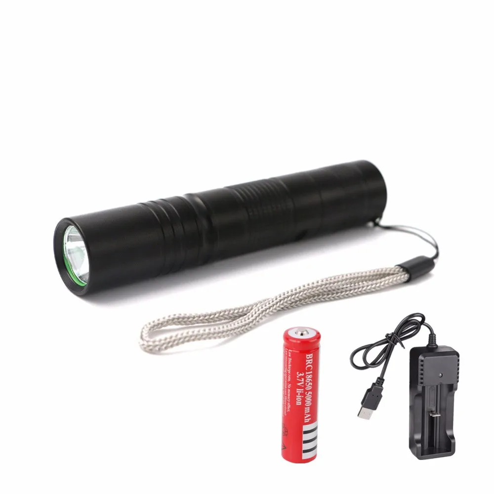 Портативный мини-фонарь 2000 лм Q5 светодиодный фонарик вспышка лампа алюминиевый сплав мини-фонарь с аккумулятором 18650+ зарядное устройство USB
