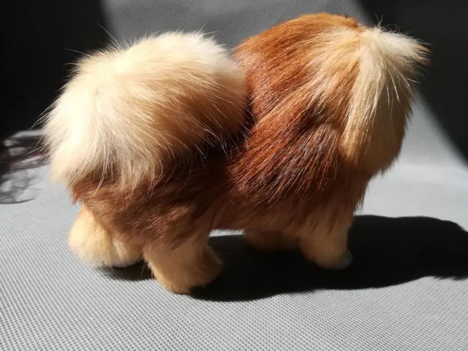 В реальной жизни toy 16x14 см стоя коричневая собака полиэтилен и меха пекинес собака модель украшения дома реквизит, игрушка в подарок d0133
