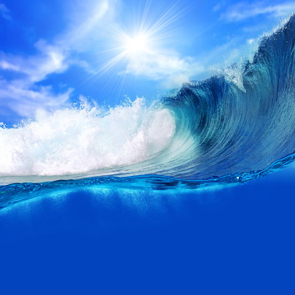 

10x10ft  Vinyl Custom  Sea Photography Backdrops Prop Photo Studio Background THY-2095