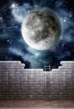 

Laeacco Glitter Star Planet Starry Brick Wall Ladder Baby Kid Portrait Backdrops Photographic Backgrounds Photocall Photo Studio