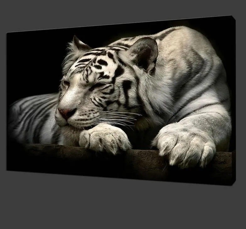 Картина с белым тигром без рамки на холсте, домашний декор для гостиной, украшение, современное искусство, картина с животными, настенная живопись
