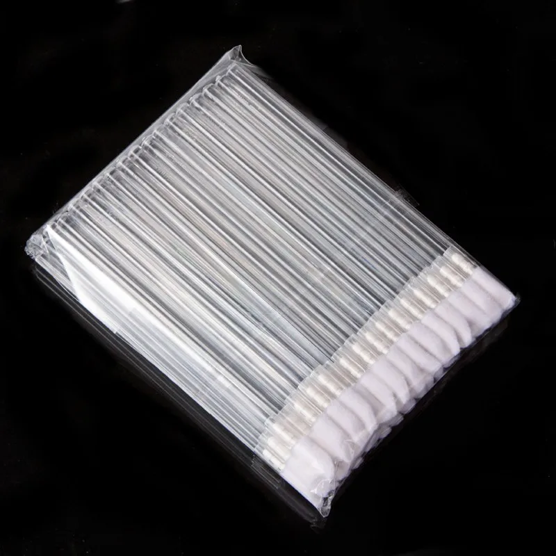 Lip Brush 1
