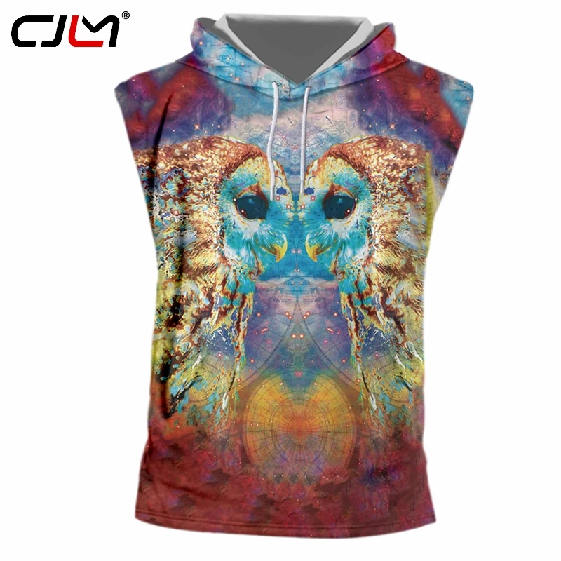

CJLM 2019 Factory Direct Supply Original Sample Design 3D Colored Owl Print Hooded Tank Top Oversized Vest Wholesale