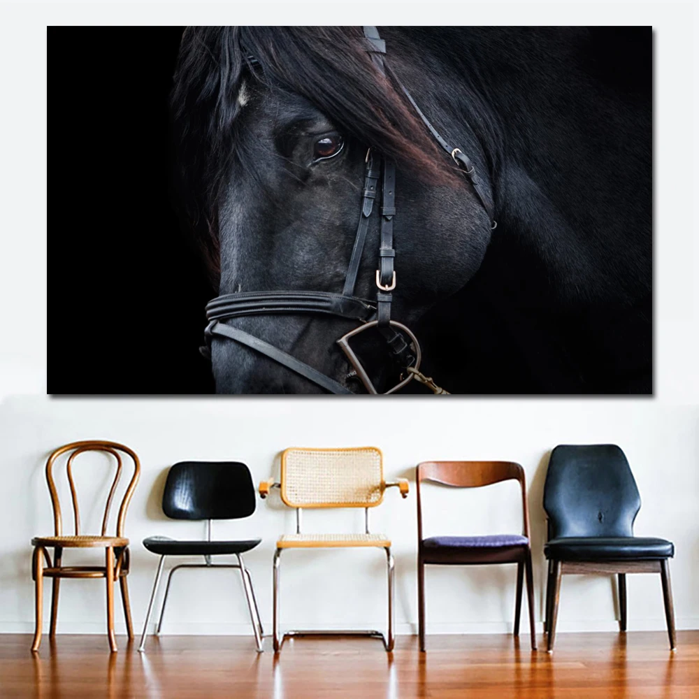 Black   Horse   Portrait