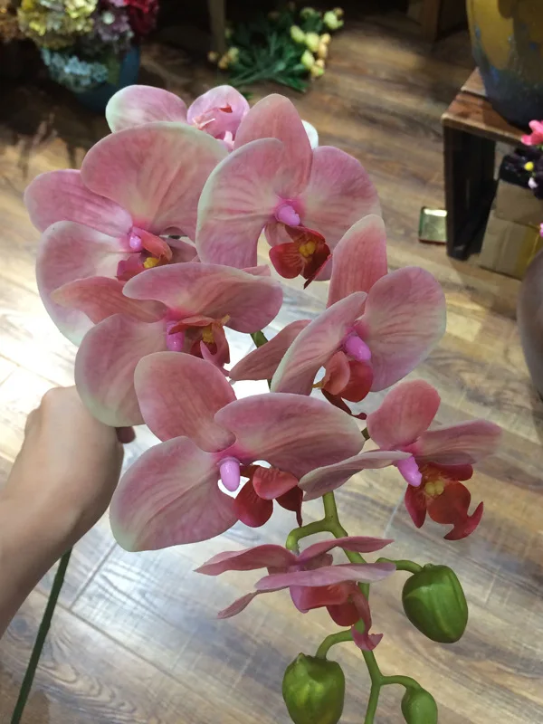 Новое поступление 3D орхидеи Настоящее прикосновение бабочка цветок орхидеи - Цвет: 5 flowers 4 leaves