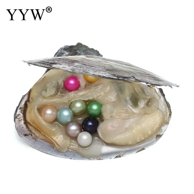 

Wholesale Freshwater Vacuum-pack Love Wish Pearl Oyster skyblue akoya Round Beads 7-8mm DIY Bracelet Necklace Jewelry Making