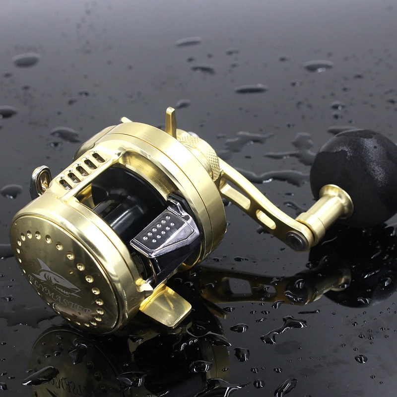 Buy Rover Drum Saltwater Fishing Reel 6.21 9+1BB