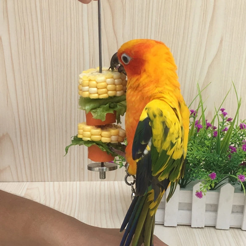 

1Pc Pet Parrots Birds Food Holder Support Stainless Steel Fruit Spear Thread Meat Skewer holding food Feeder