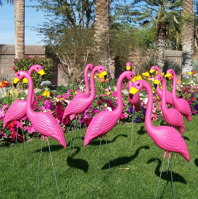 plastic flamingo yard