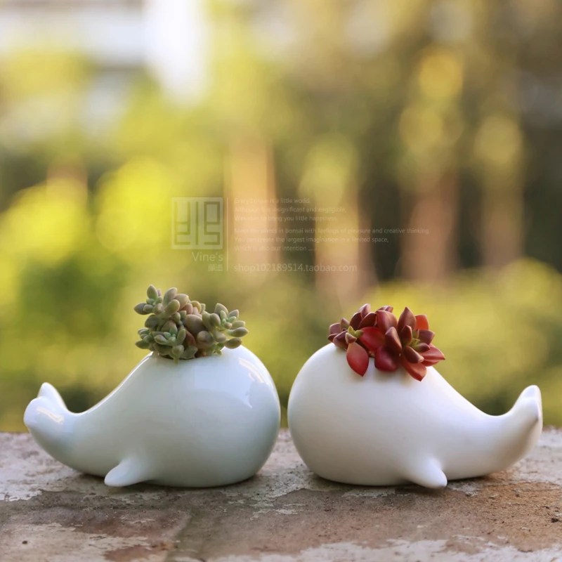 Jingdezhen ceramic flower pot meat flower pot coins grass flower pot desktop plants bonsai home decor