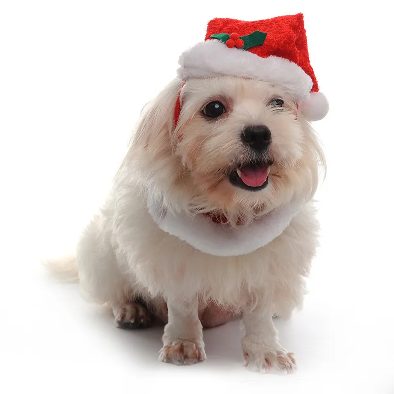 Собака Рождество шляпу Санта и воротник с Jingle Bells Рождество Собака шляпа Интимные аксессуары костюм зоотоваров Шапки