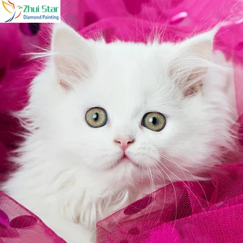

Zhui Star 5D DIY Full Square drill Diamond painting Cross Stitch White cute cat Rhinestone Embroidery Mosaic Home decor gift