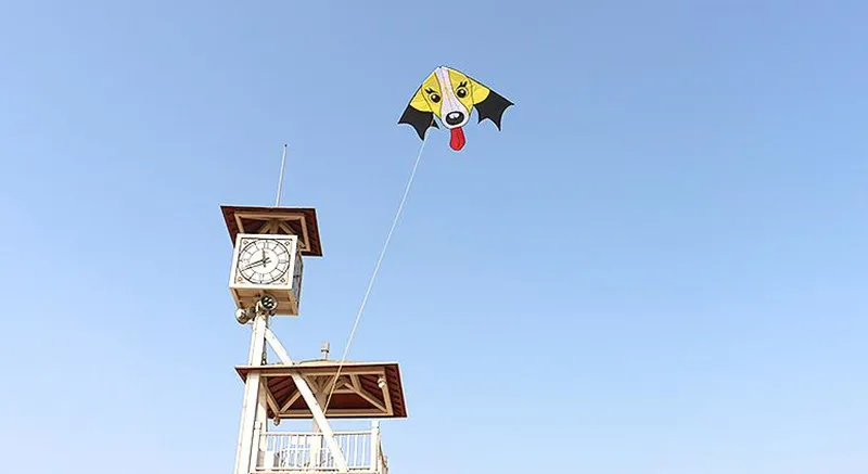 04