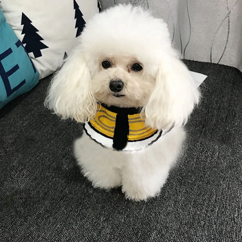 10694977067_477694553