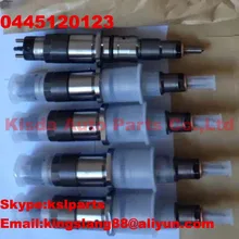 Common Rail 0445120123/0 445 120 123