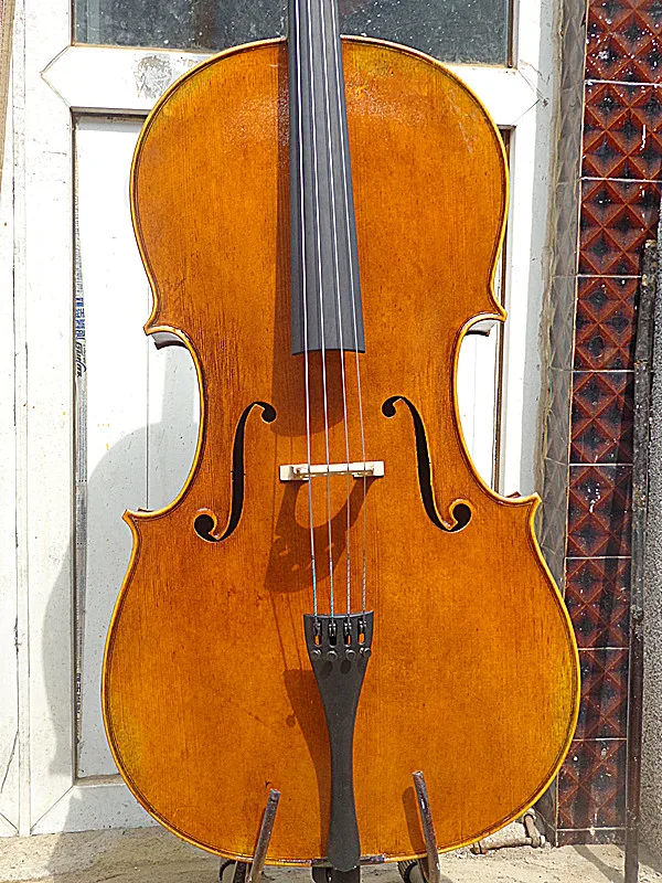 DSC00646