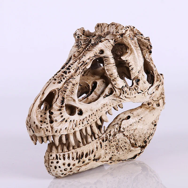 

Realistic Monolophosaurus Skull Lifelike Dinosaur Skull Skeleton Models Resin Craftwork Animal Research Teaching Aids Kids Gifts