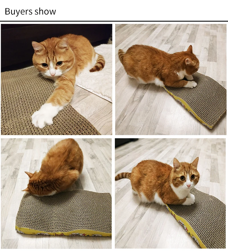 QQ20190227101206