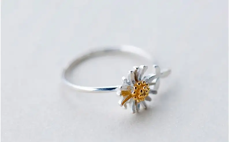 36020181123163041268