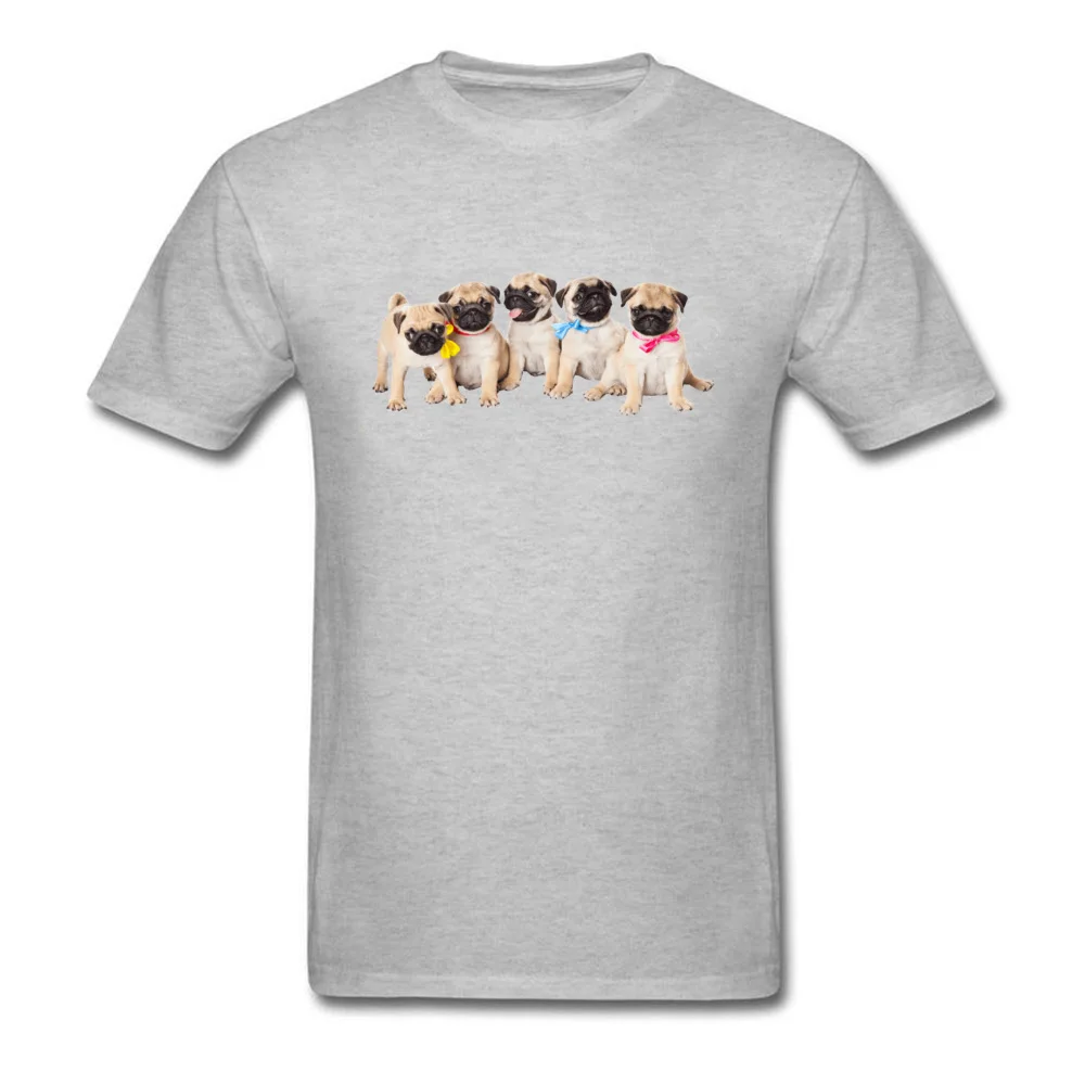 pugs-_grey