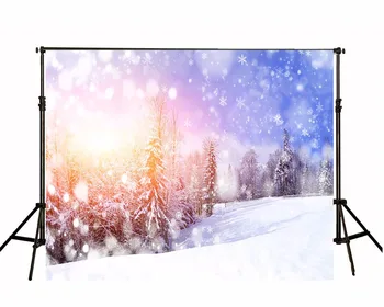 

VinylBDS Winter Frozen 10ft Background Photography Backdrops Trees With Sunlight background photography kids snowflake backdrop