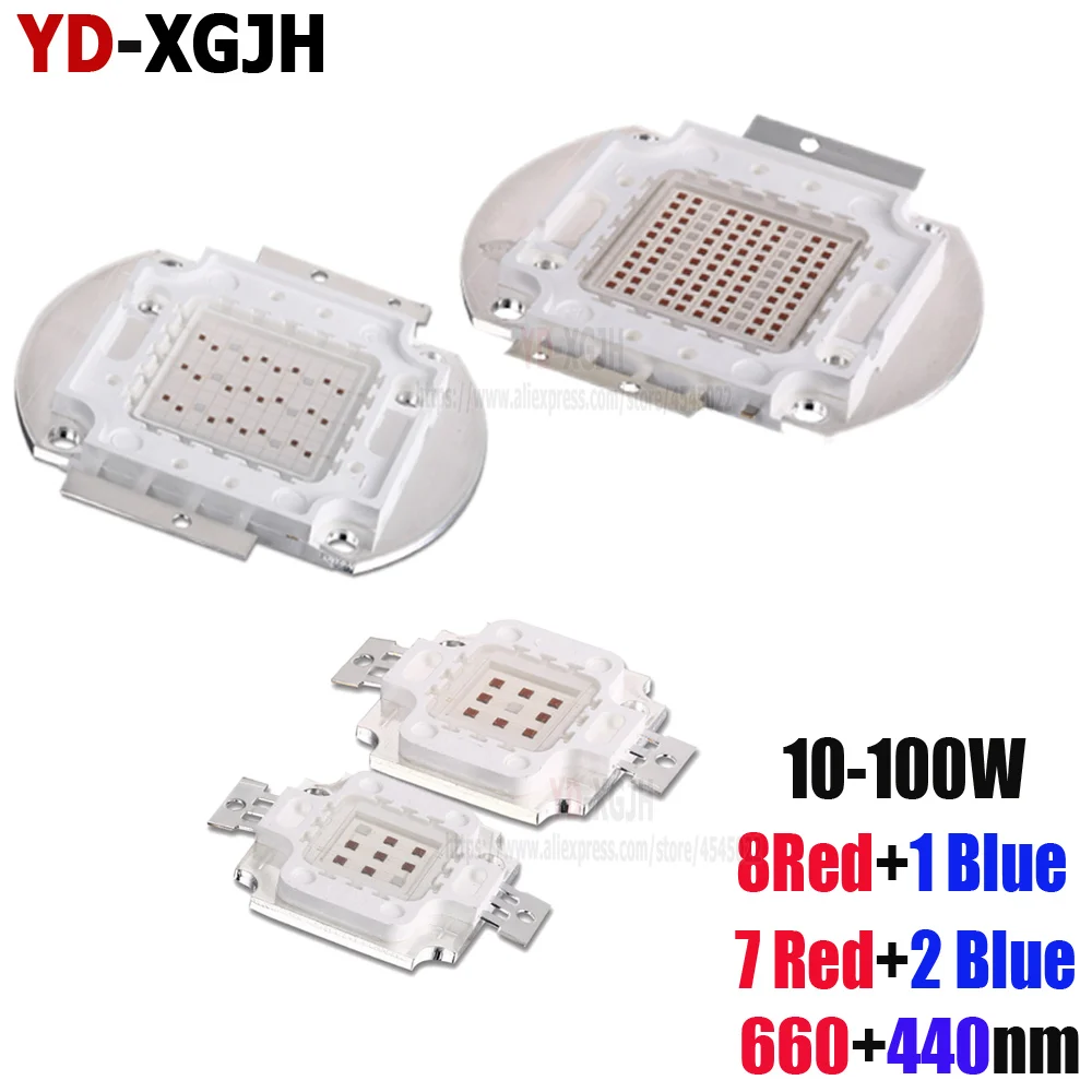 10-100W5P