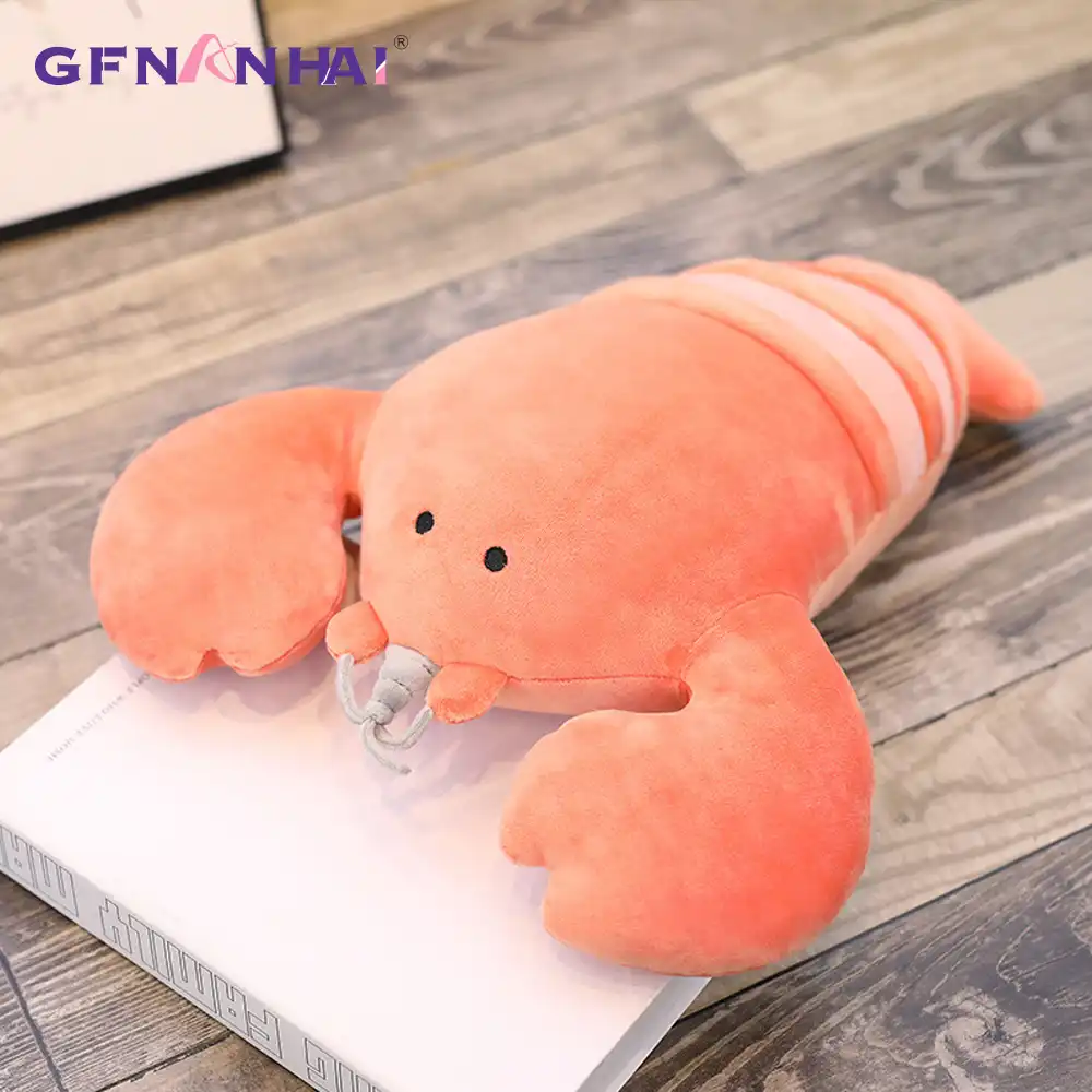Vrai Insecte Spécimen Créatif Paperweight Cadeau De Collecte Frelon