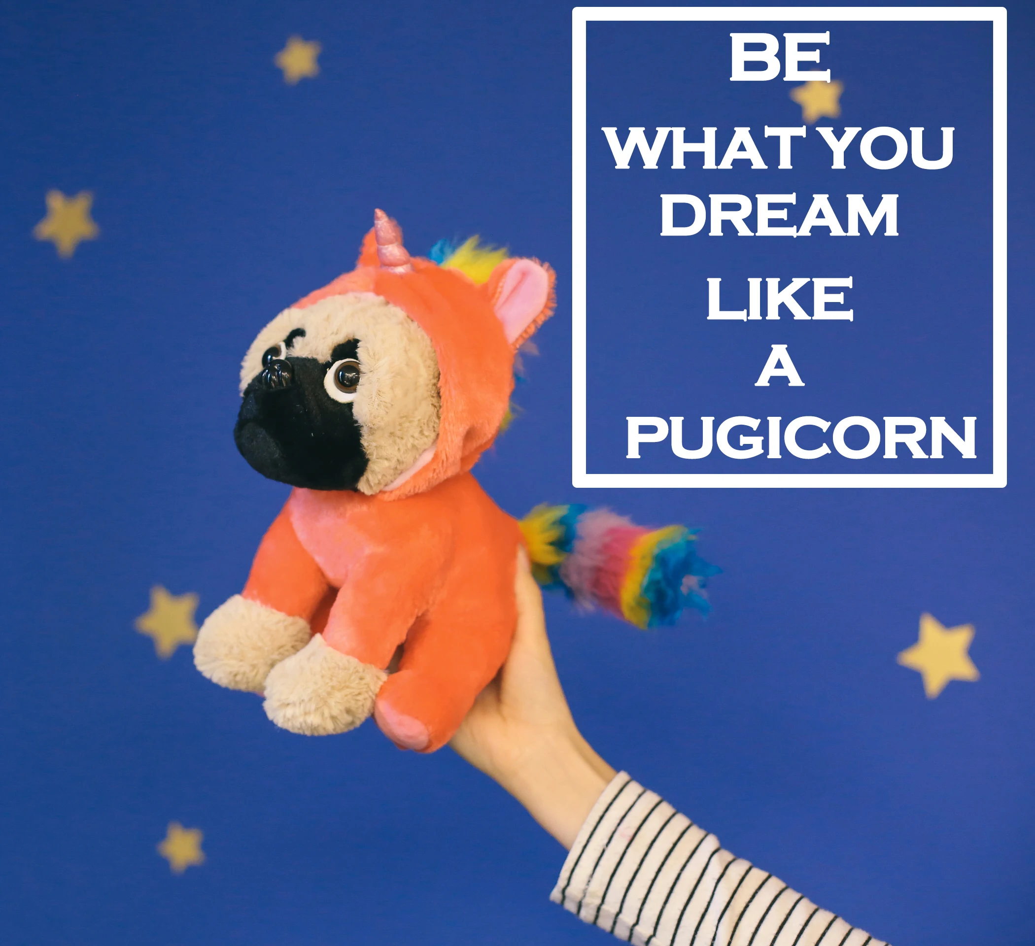 pugicorn toy