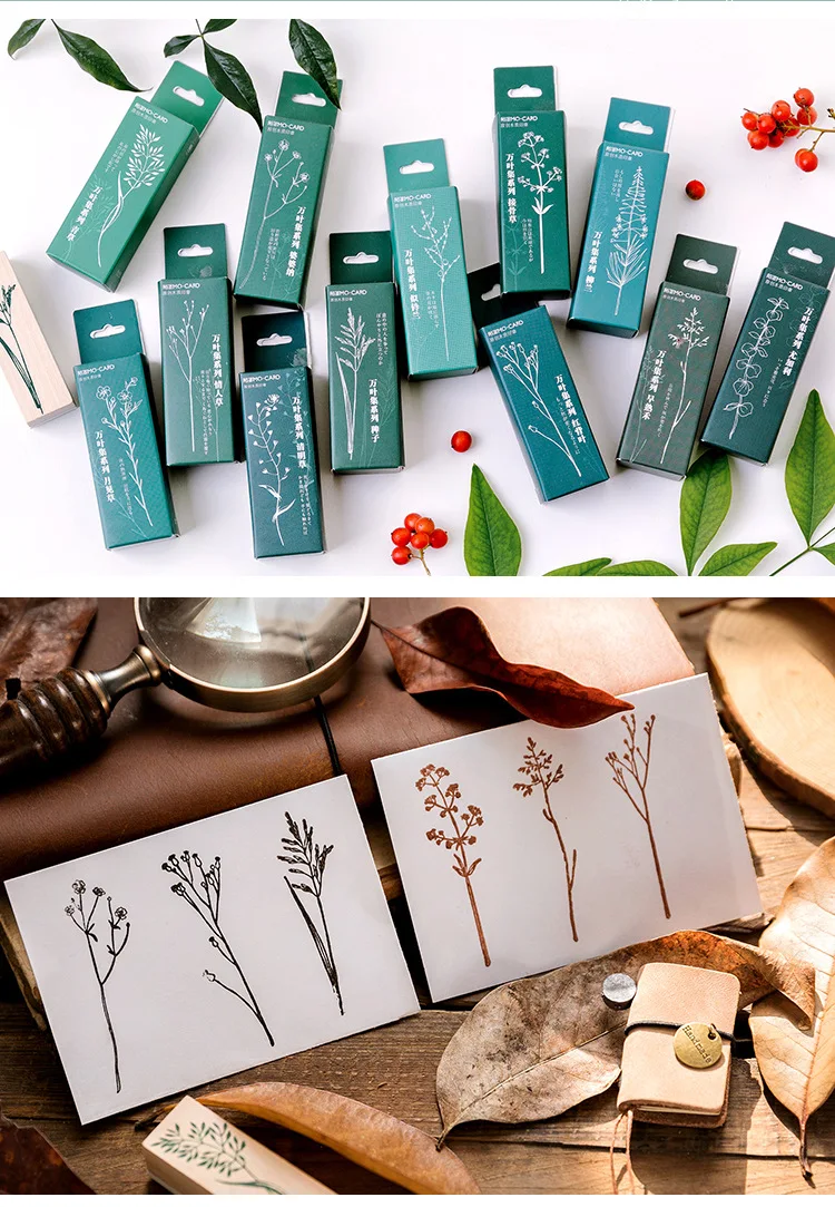 9723160937_1597187969