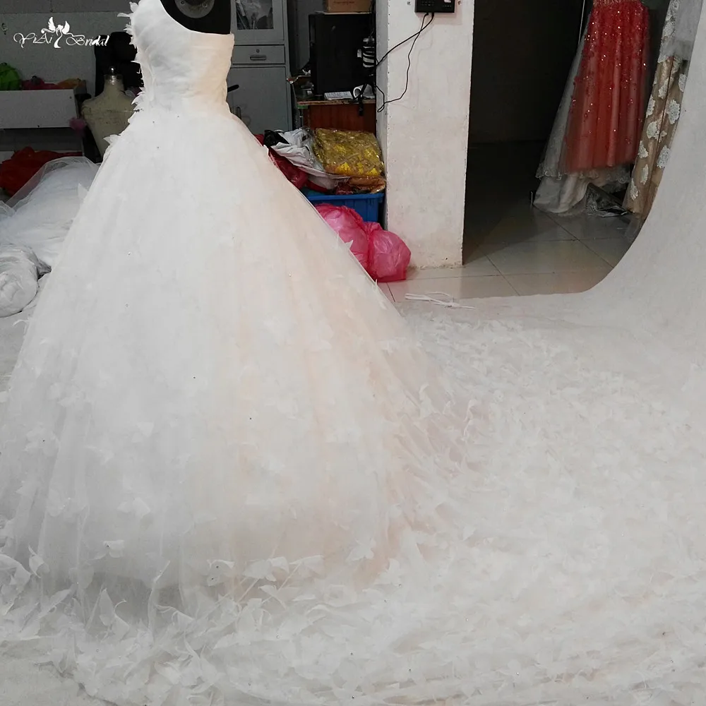 RSW1031 luxury vestidos de novia 2016 Butterfly cathedral train wedding dresses (5)