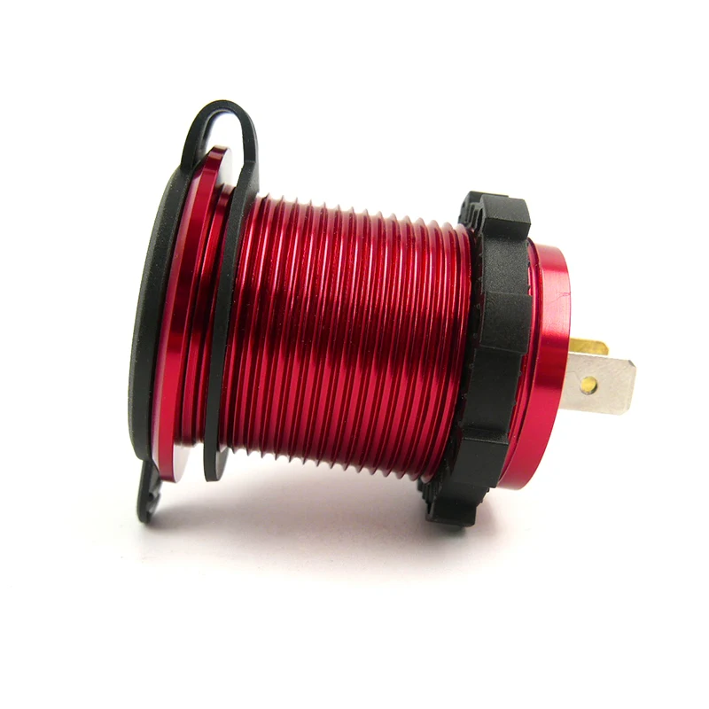 P12600081