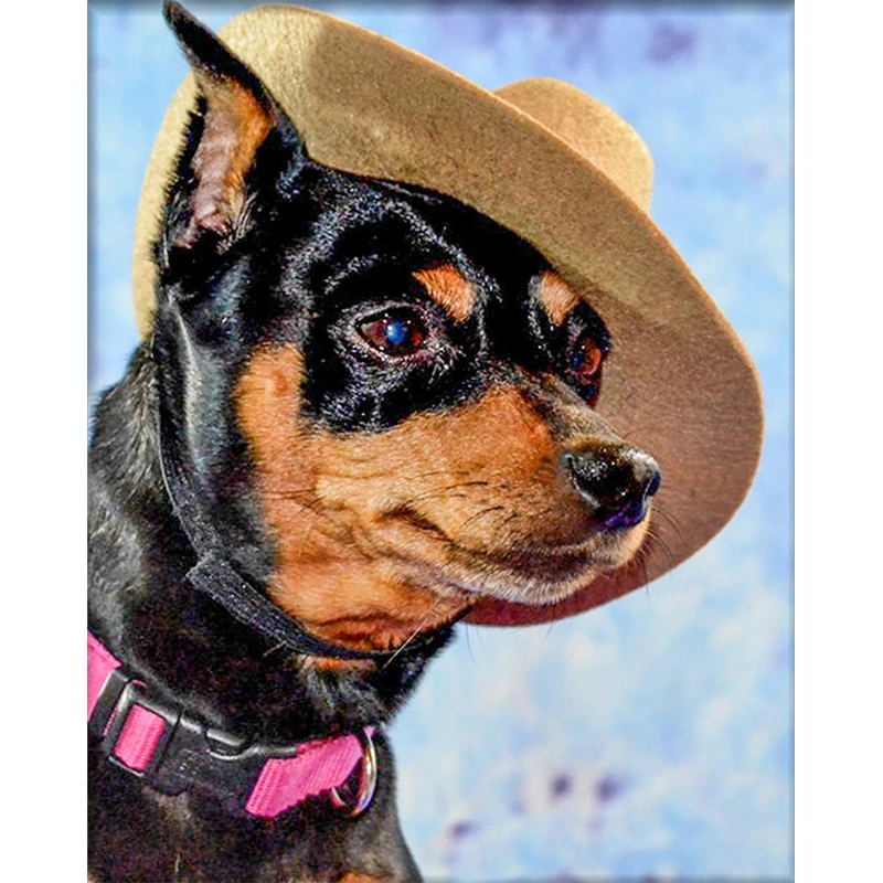 

DIY mosaic Cross stitch diamond embroidery home decoration diamond painting needlework Dog Wearing Hat KBL
