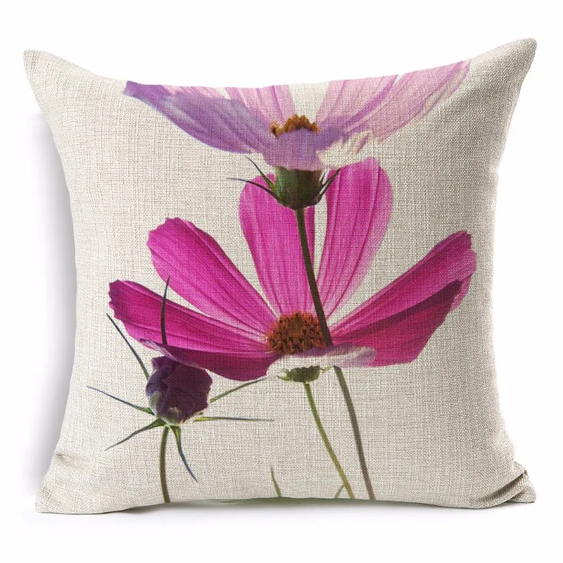 cushion800px-S1