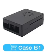 B1
