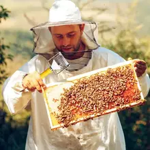 Новая разворачивающая вилка из нержавеющей стали медовая Расческа нож-скребок для пчеловодов эффективный медовый режущий инструмент пчеловода Apicultura оборудование