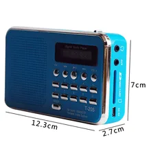 FM радио карта динамик цифровой Мультимедиа MP3 музыка громкий динамик Кемпинг Туризм Спорт на открытом воздухе