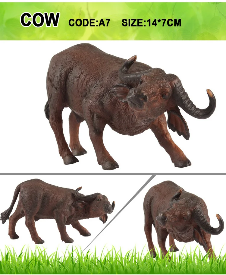 COW