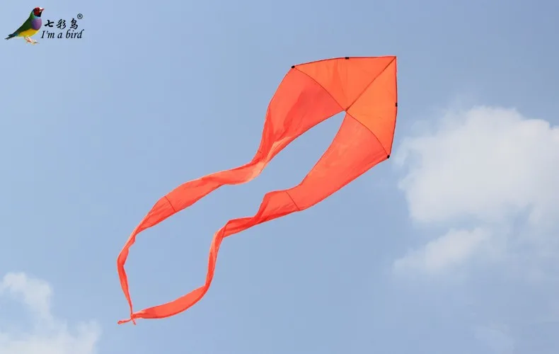 Y10