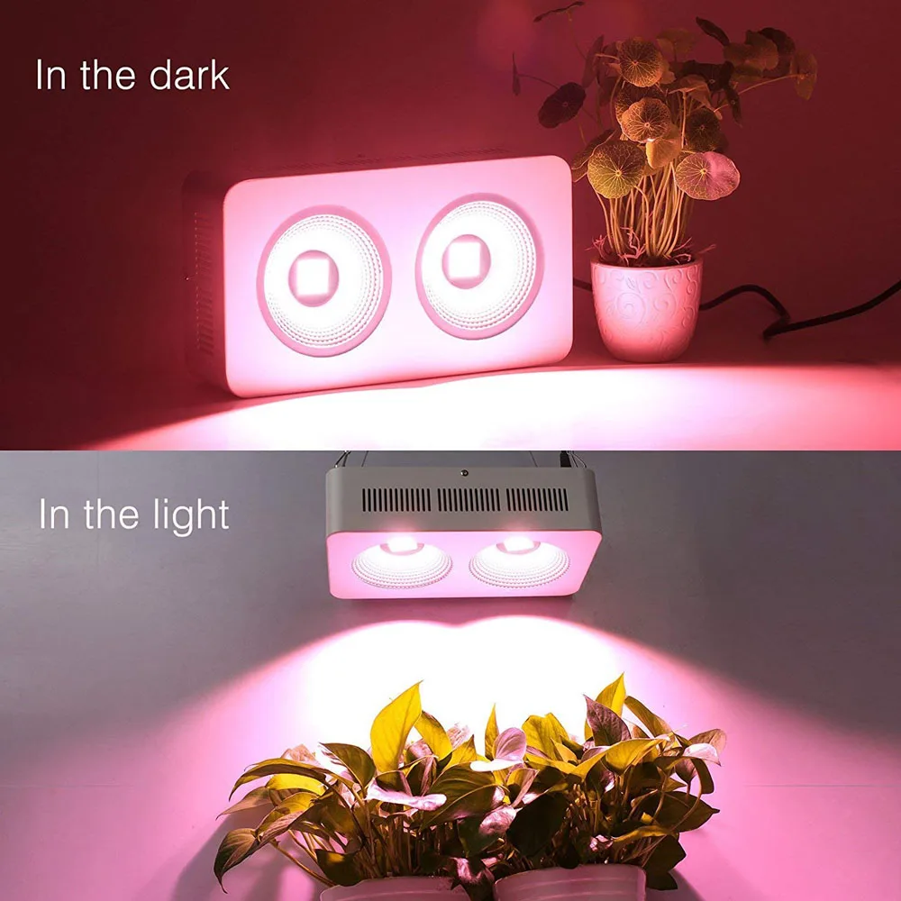 COB plant grow light (2)