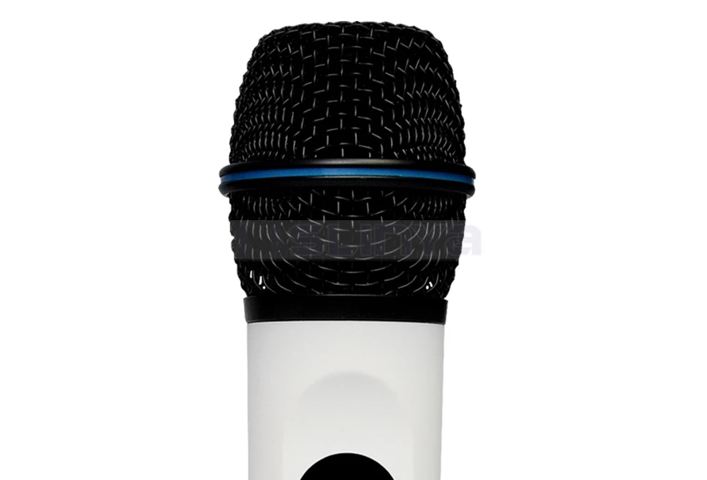 Speaker with wireless microphone 8040170721 (25)
