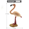 Flamingo-c