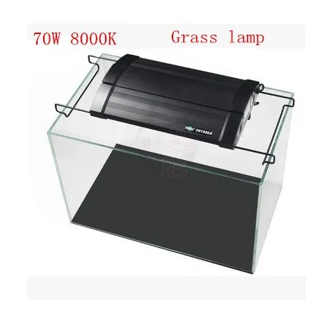 70W 8000K holder