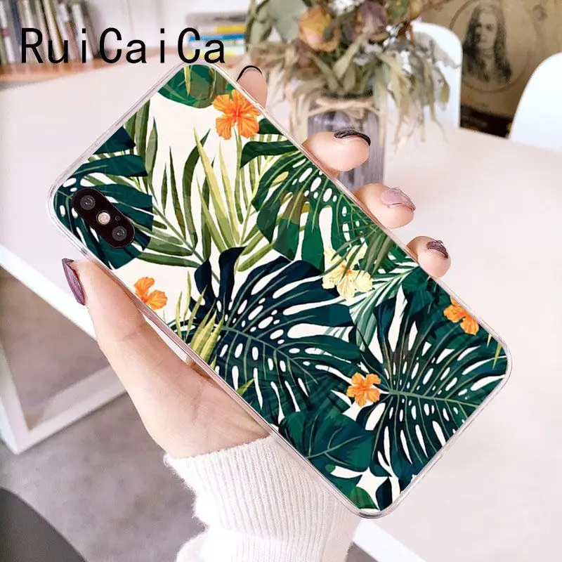 Palm tree Leaves Plant Flower